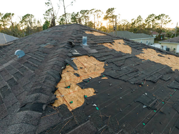 Best Asphalt Shingle Roofing  in Brooklawn, NJ