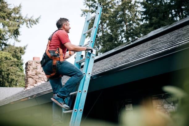 Best Gutter Installation and Repair  in Brooklawn, NJ